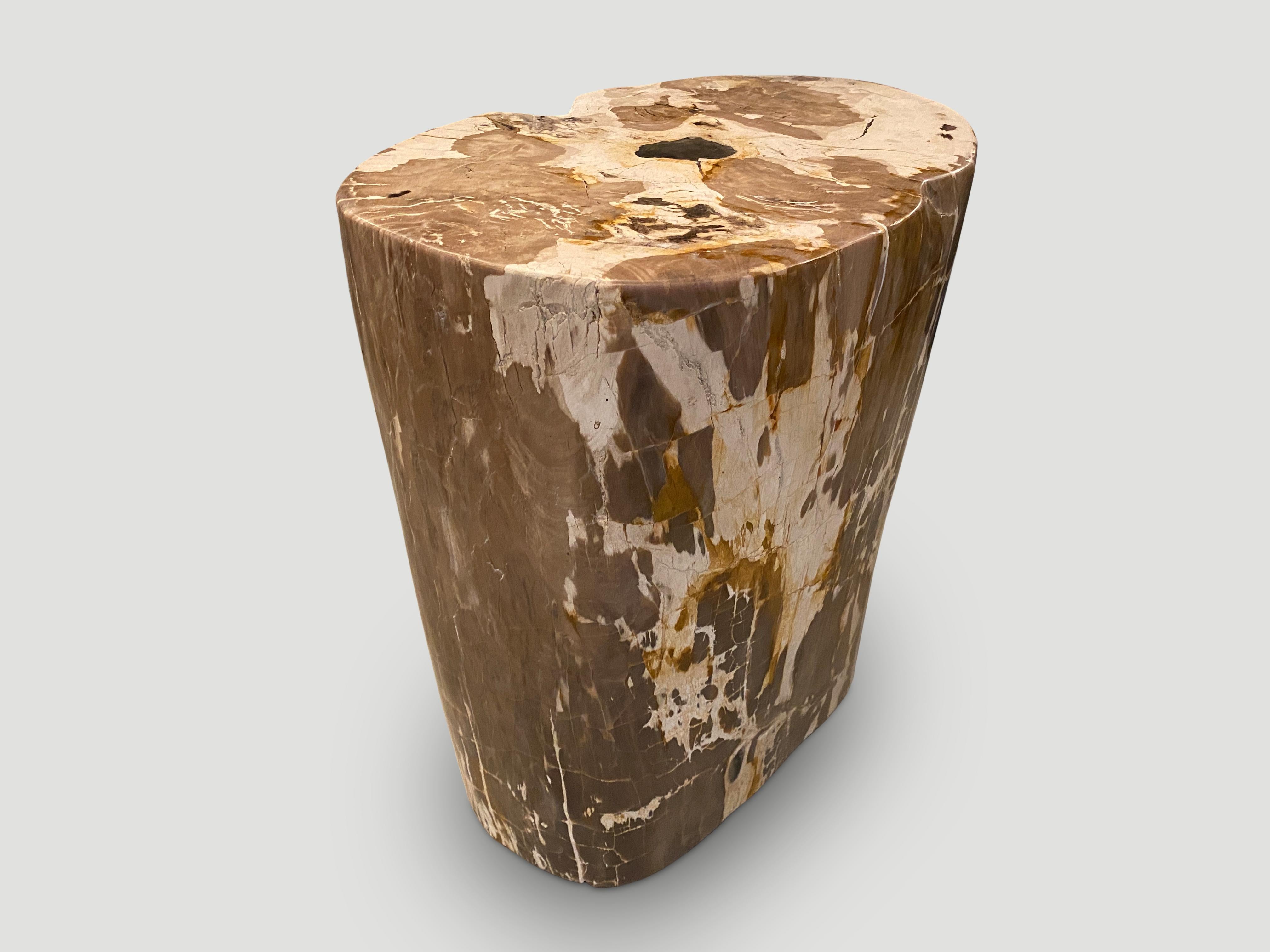 Andrianna Shamaris Ancient Petrified Wood Side Table In Excellent Condition For Sale In New York, NY