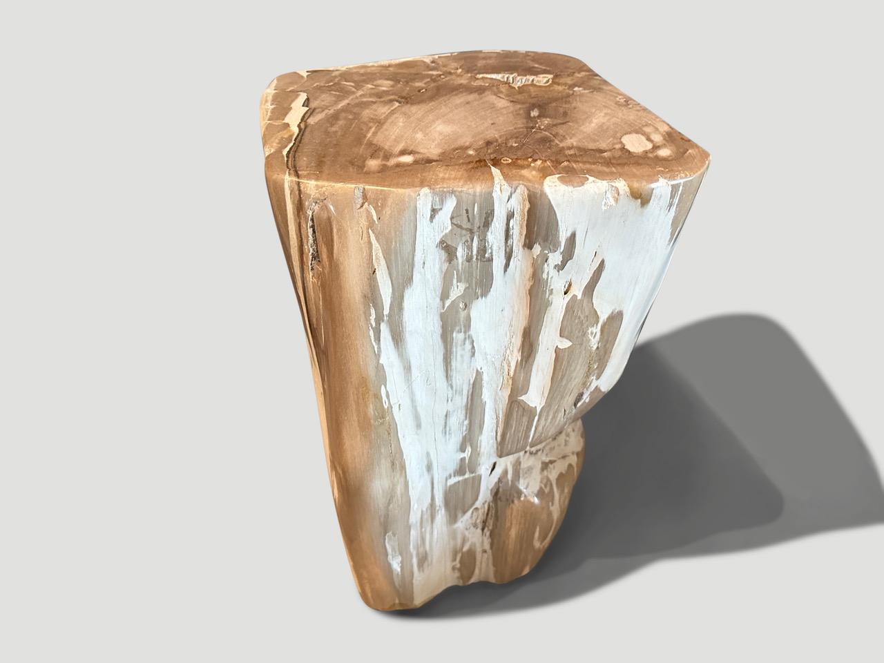 Andrianna Shamaris Ancient Petrified Wood Side Table  In Excellent Condition For Sale In New York, NY