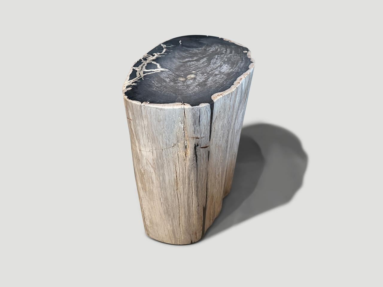 Andrianna Shamaris Ancient Petrified Wood Side Table  In Excellent Condition For Sale In New York, NY