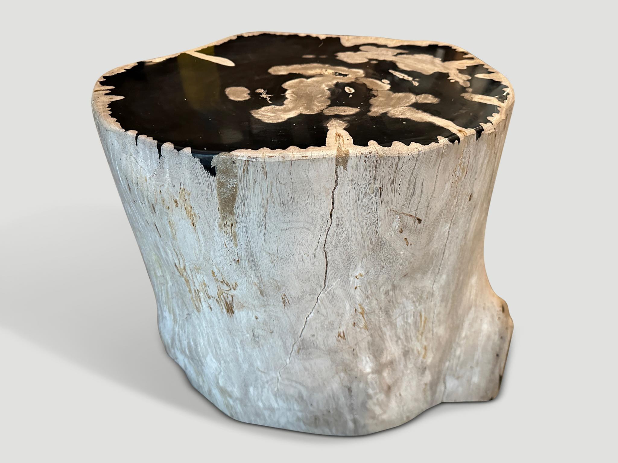 Andrianna Shamaris Ancient Petrified Wood Side Table In Excellent Condition For Sale In New York, NY