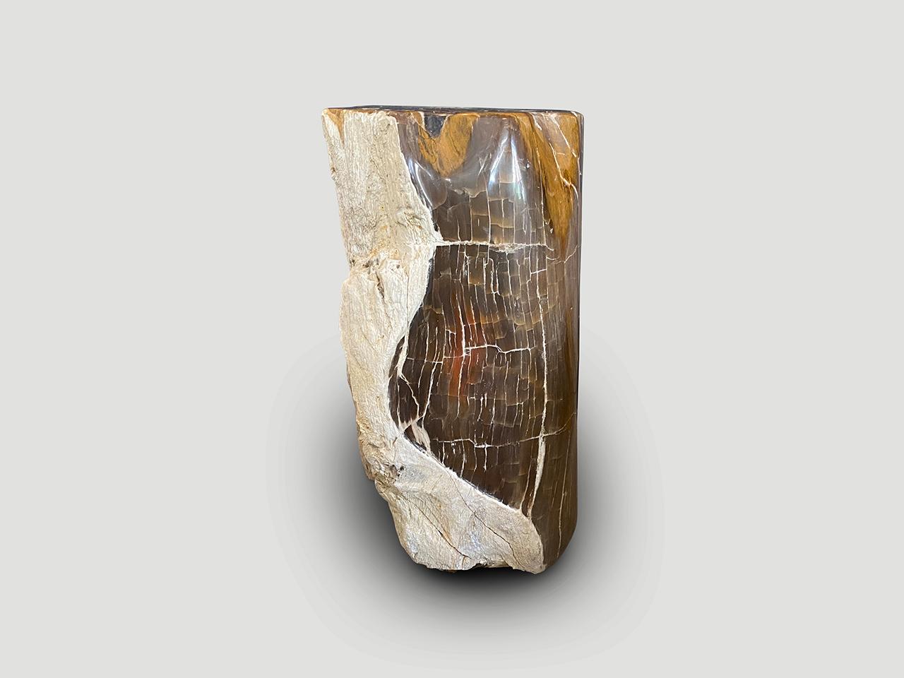 Contemporary Andrianna Shamaris Ancient Petrified Wood Side Table