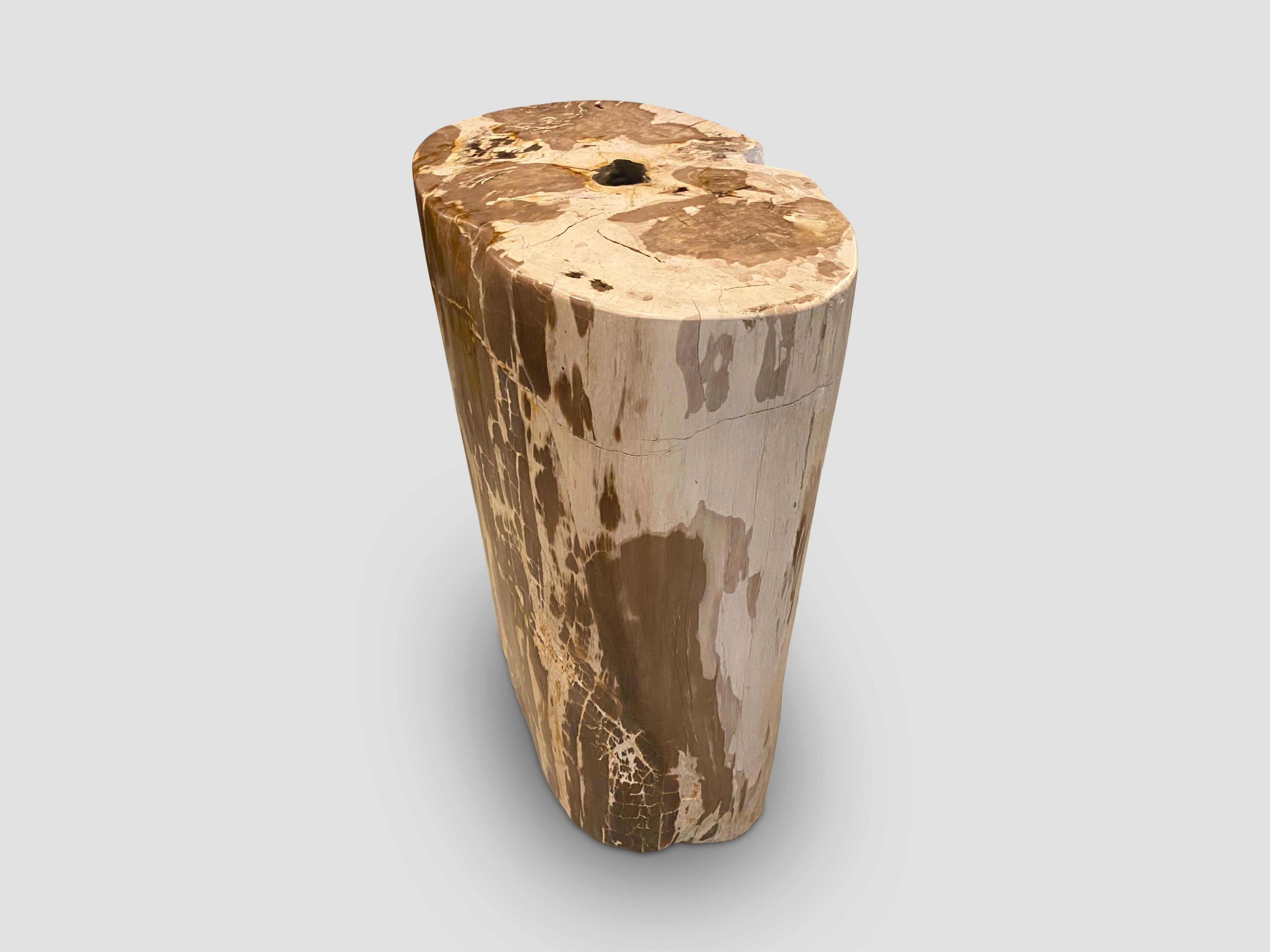 Contemporary Andrianna Shamaris Ancient Petrified Wood Side Table For Sale