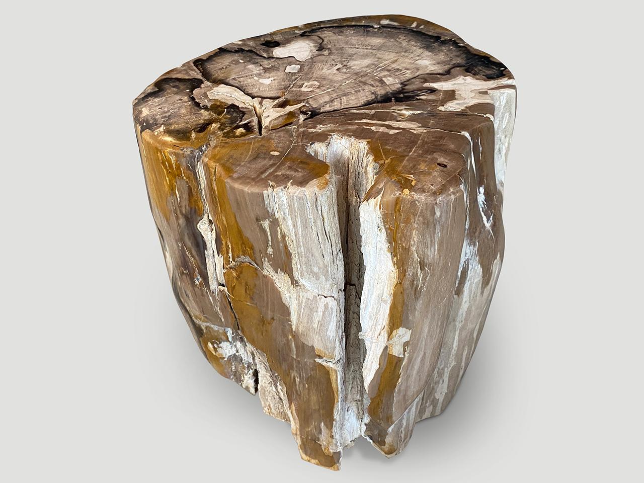 Organic Modern Andrianna Shamaris Ancient Petrified Wood Side Table