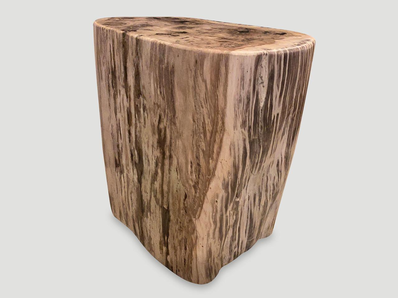 Andrianna Shamaris Ancient Petrified Wood Side Table For Sale 1