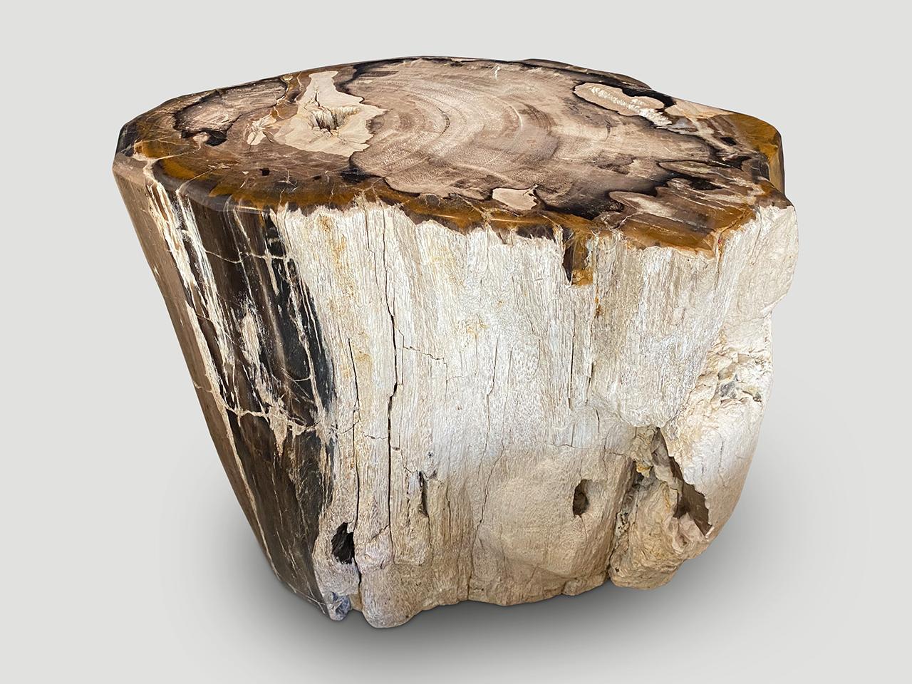 Andrianna Shamaris Ancient Petrified Wood Side Table 3