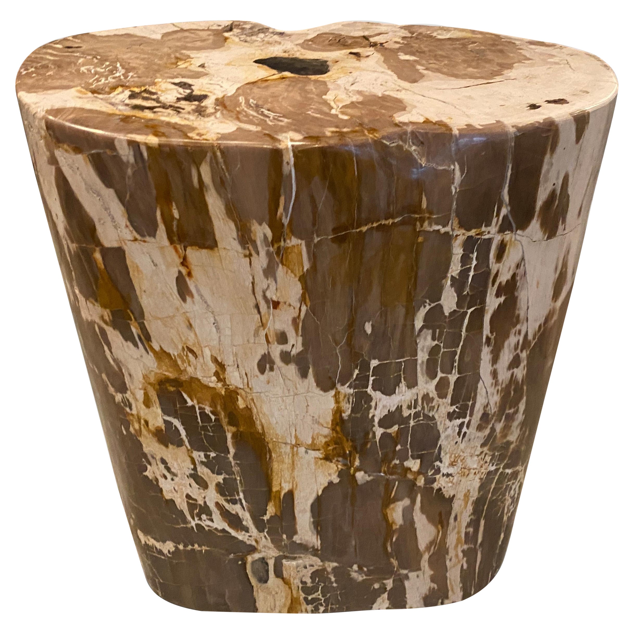 Andrianna Shamaris Ancient Petrified Wood Side Table