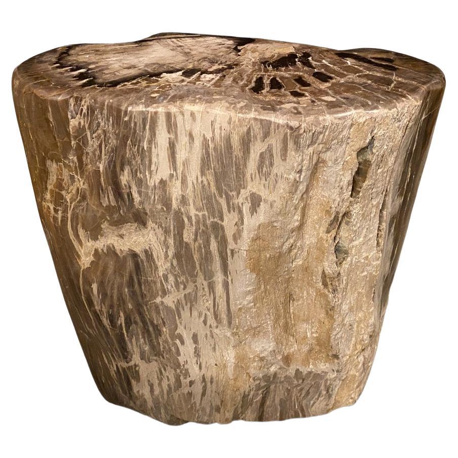 Andrianna Shamaris Ancient Petrified Wood Side Table For Sale