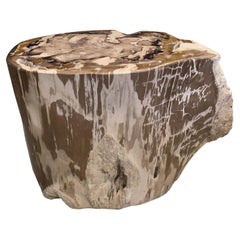 Andrianna Shamaris Ancient Petrified Wood Side Table Andrianna Shamaris Ancient Petrified Wood Side Table