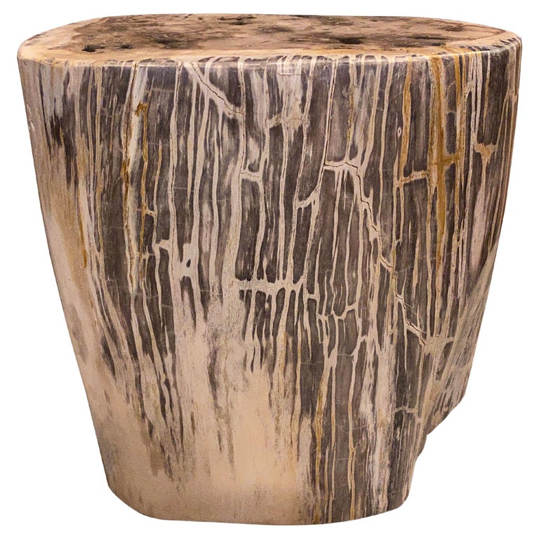 Andrianna Shamaris Ancient Petrified Wood Side Table For Sale at 1stDibs