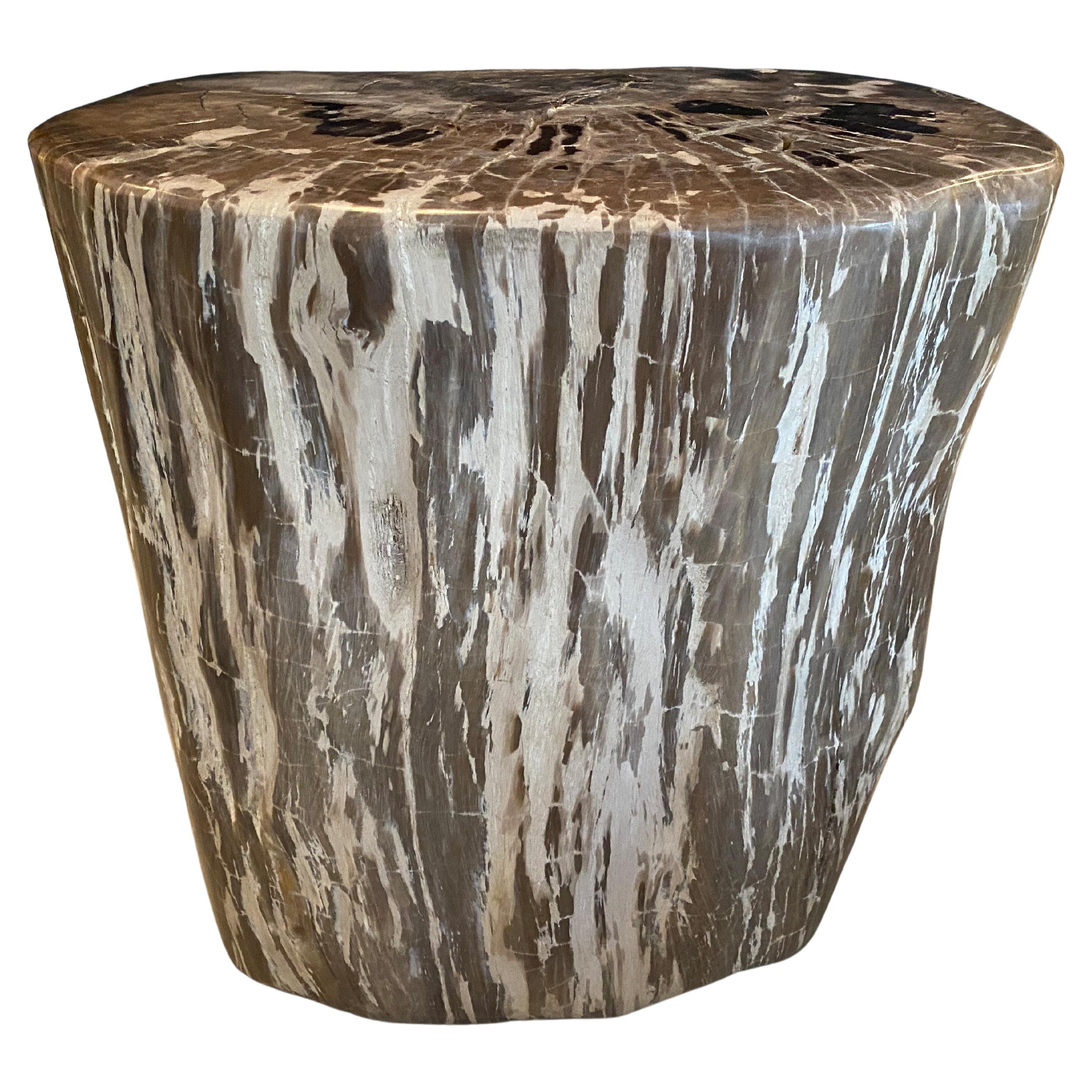 Andrianna Shamaris Ancient Petrified Wood Side Table For Sale