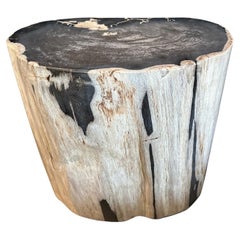 Andrianna Shamaris Ancient Petrified Wood Side Table