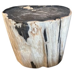 Andrianna Shamaris Ancient Petrified Wood Side Table 