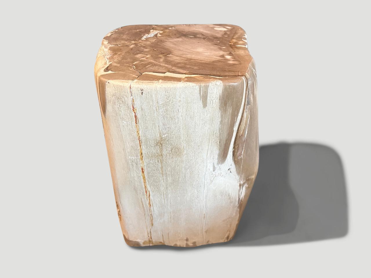 Andrianna Shamaris Ancient Petrified Wood Side Table  For Sale