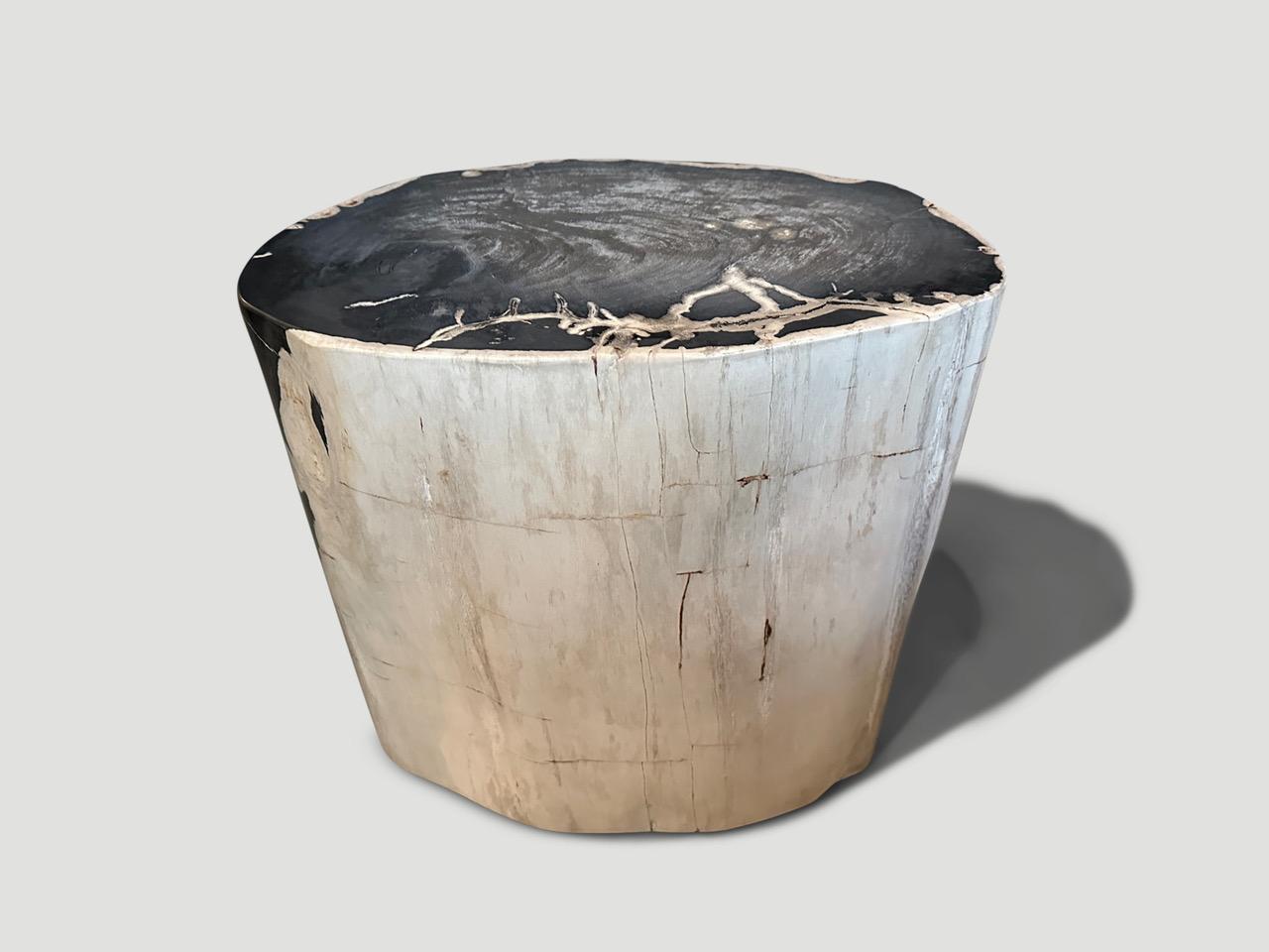 Andrianna Shamaris Ancient Petrified Wood Side Table 