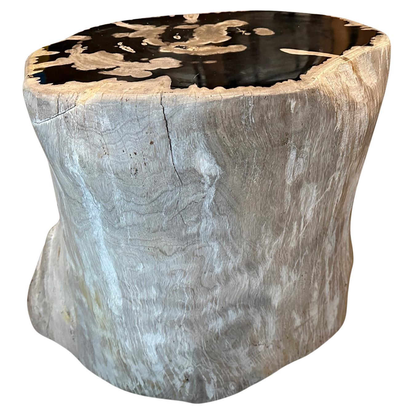 Andrianna Shamaris Ancient Petrified Wood Side Table For Sale