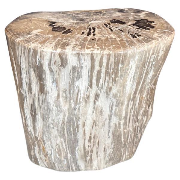 Andrianna Shamaris Ancient Petrified Wood Side Table For Sale