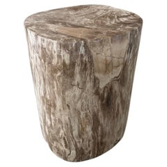 Andrianna Shamaris Ancient Petrified Wood Side Table