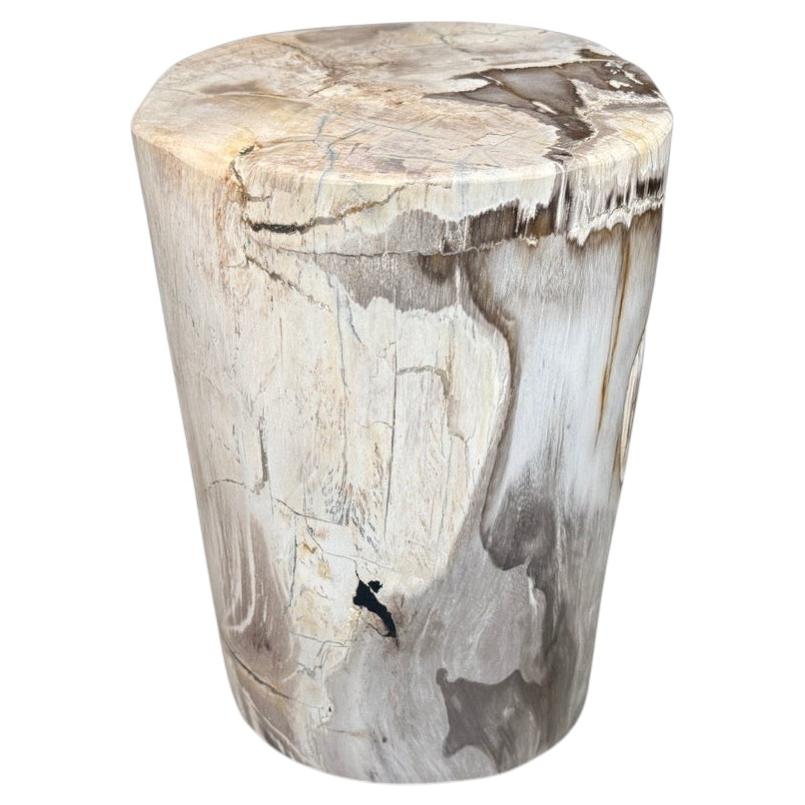 Andrianna Shamaris Ancient Petrified Wood Side Table For Sale