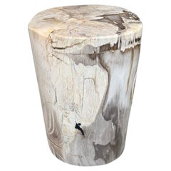 Andrianna Shamaris Ancient Petrified Wood Side Table
