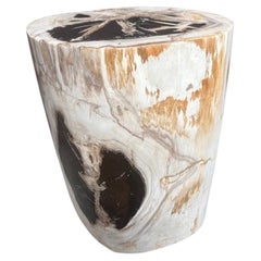Andrianna Shamaris Ancient Petrified Wood Side Table