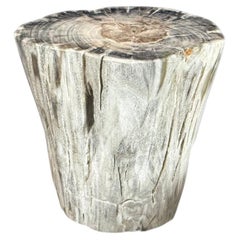 Tavolino in legno pietrificato antico di Andrianna Shamaris