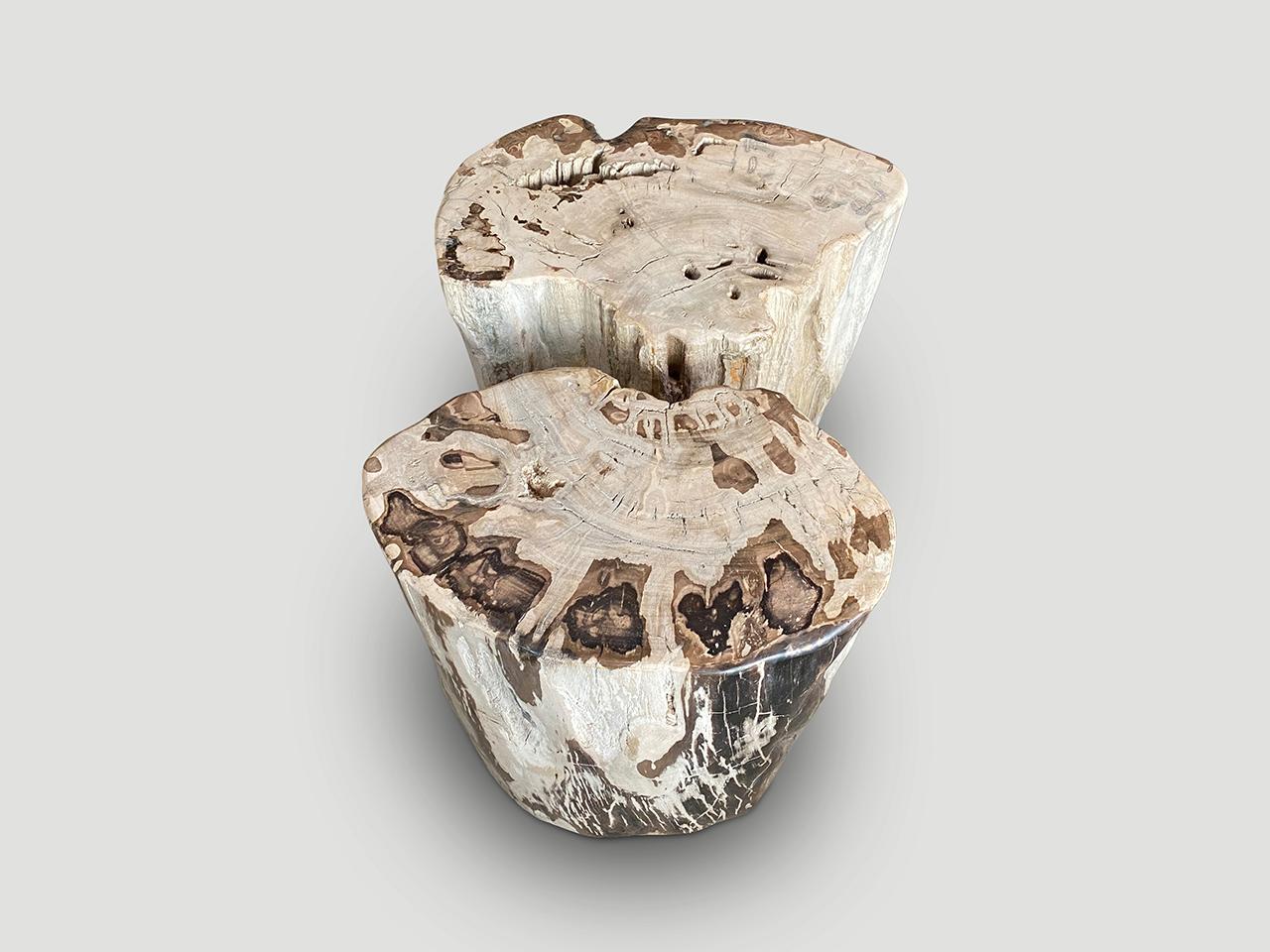 Andrianna Shamaris Ancient Petrified Wood Side Table or Coffee Table For Sale 4