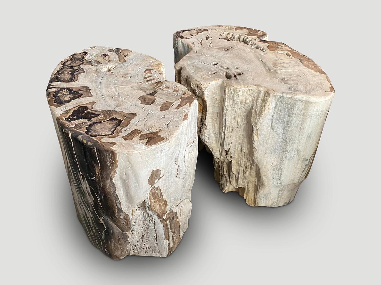 Andrianna Shamaris Ancient Petrified Wood Side Table or Coffee Table For Sale 6