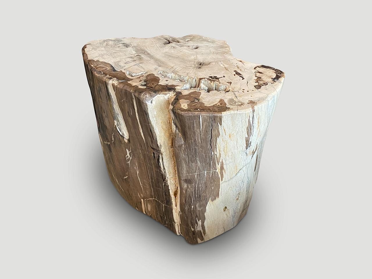 Beautiful tiger tones on this ancient petrified wood side table. We have a collection of three all cut from the same log. Final images show two placed together as a coffee table. The price reflects the one main image.

It’s fascinating how Mother