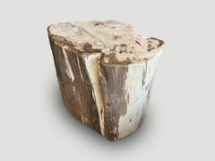 Andrianna Shamaris Ancient Petrified Wood Side Table or Coffee Table