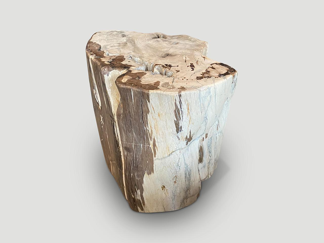 Organic Modern Andrianna Shamaris Ancient Petrified Wood Side Table or Coffee Table For Sale