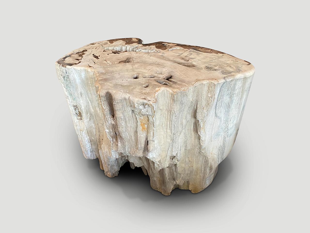 Andrianna Shamaris Ancient Petrified Wood Side Table or Coffee Table In Excellent Condition For Sale In New York, NY
