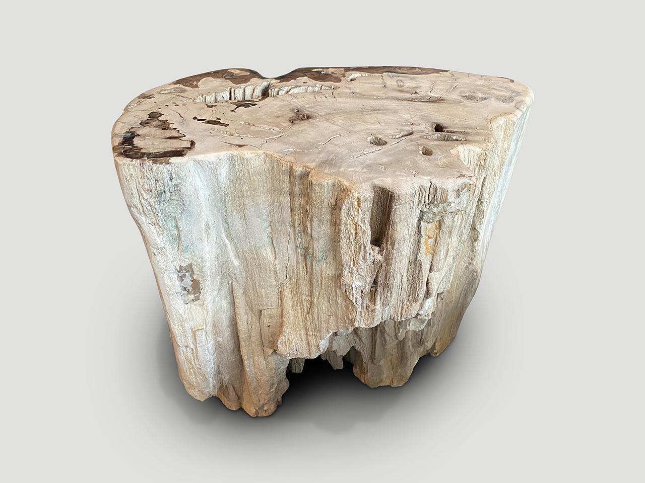 Contemporary Andrianna Shamaris Ancient Petrified Wood Side Table or Coffee Table For Sale