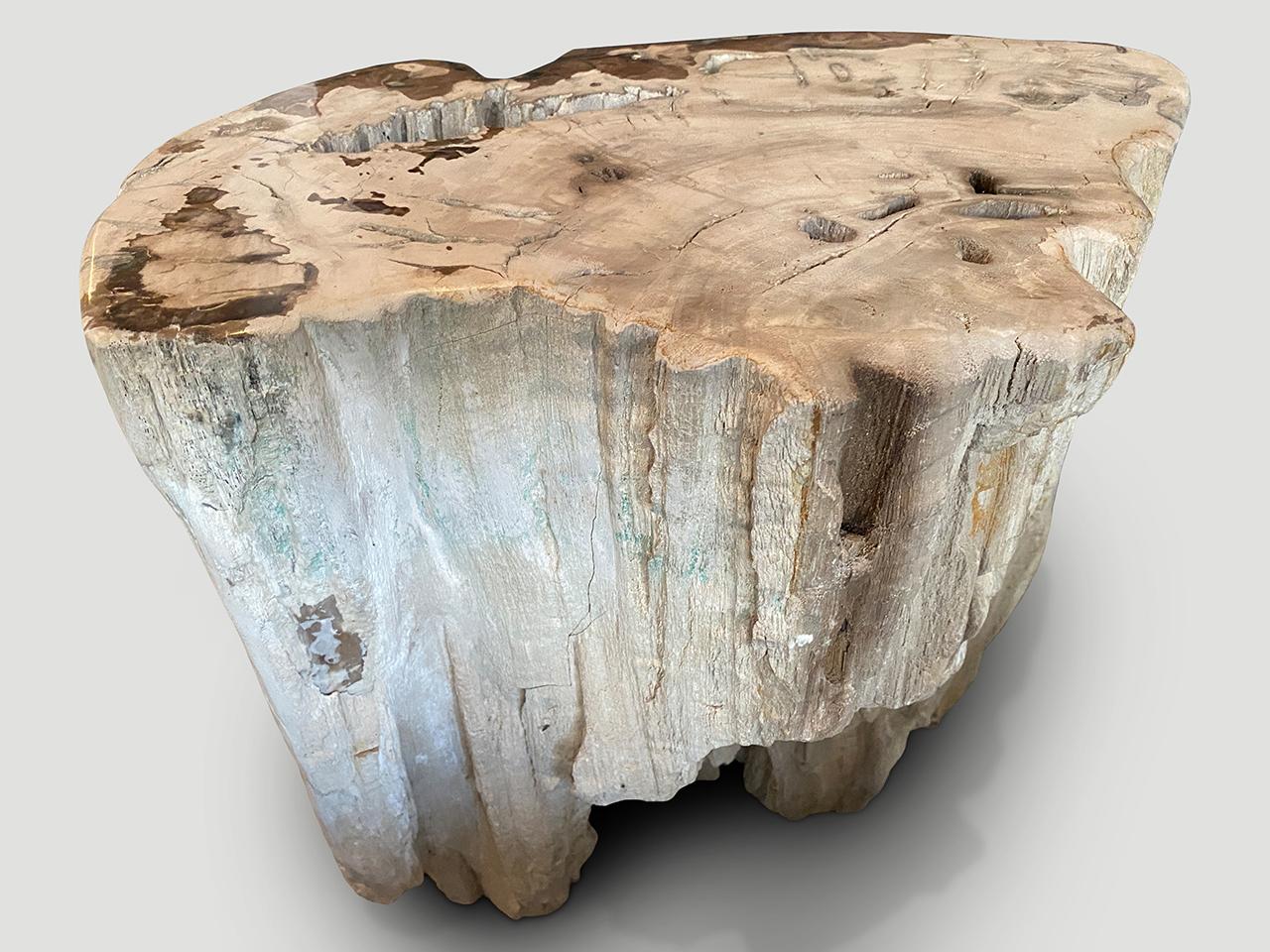 Andrianna Shamaris Ancient Petrified Wood Side Table or Coffee Table For Sale 1