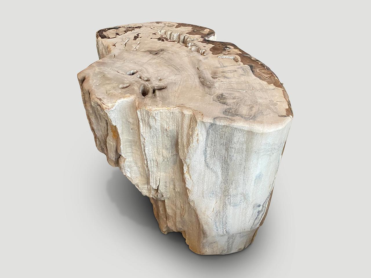 Andrianna Shamaris Ancient Petrified Wood Side Table or Coffee Table For Sale 2