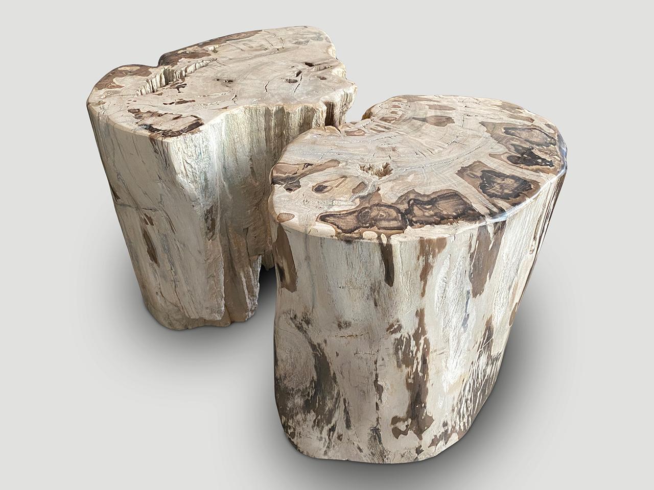 Andrianna Shamaris Ancient Petrified Wood Side Table or Coffee Table For Sale 3