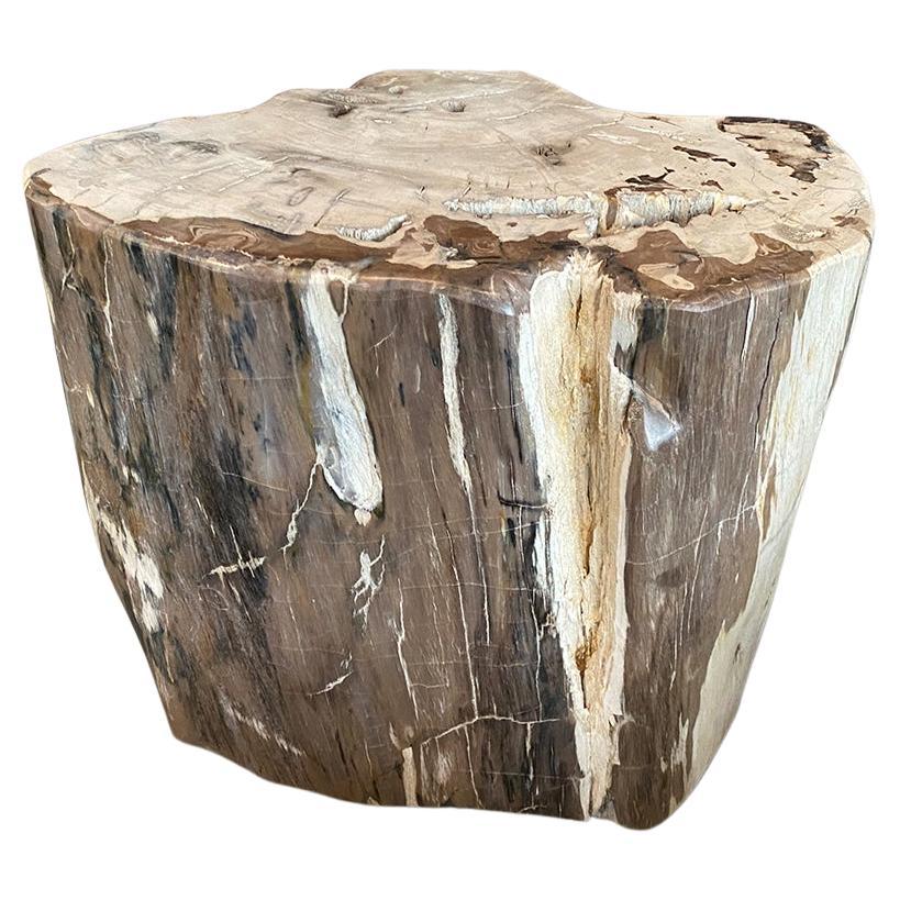 Andrianna Shamaris Ancient Petrified Wood Side Table or Coffee Table