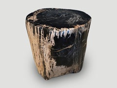 Andrianna Shamaris Ancient Sculptural Petrified Wood Side Table