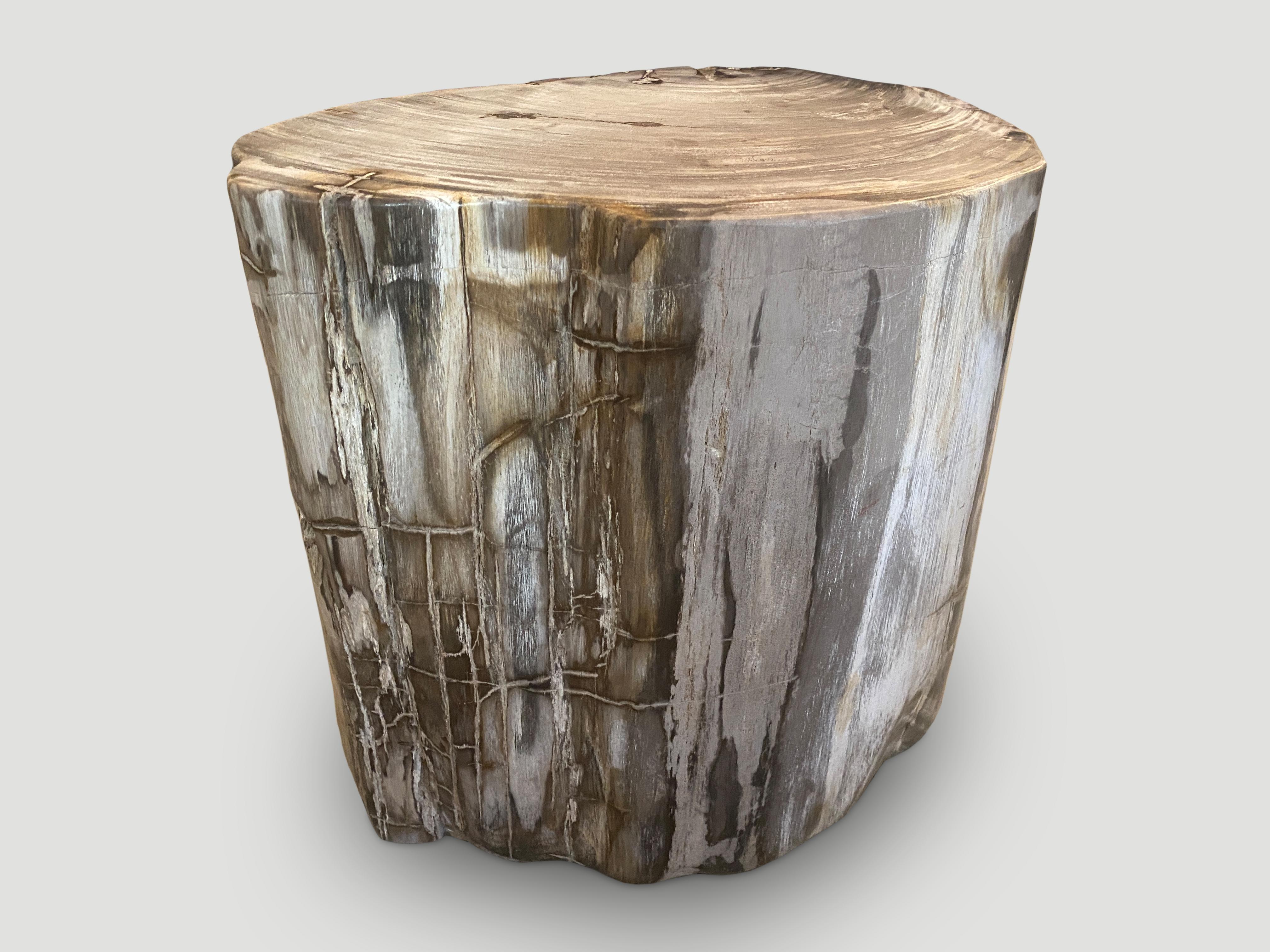 Beautiful contrasting tones and textures on this ancient petrified wood side table. Rare. It’s fascinating how Mother Nature produces these exquisite 40 million year old petrified teak logs with such contrasting colors and natural patterns
