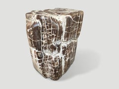 Andrianna Shamaris Ancient Sculptural Petrified Wood Side Table