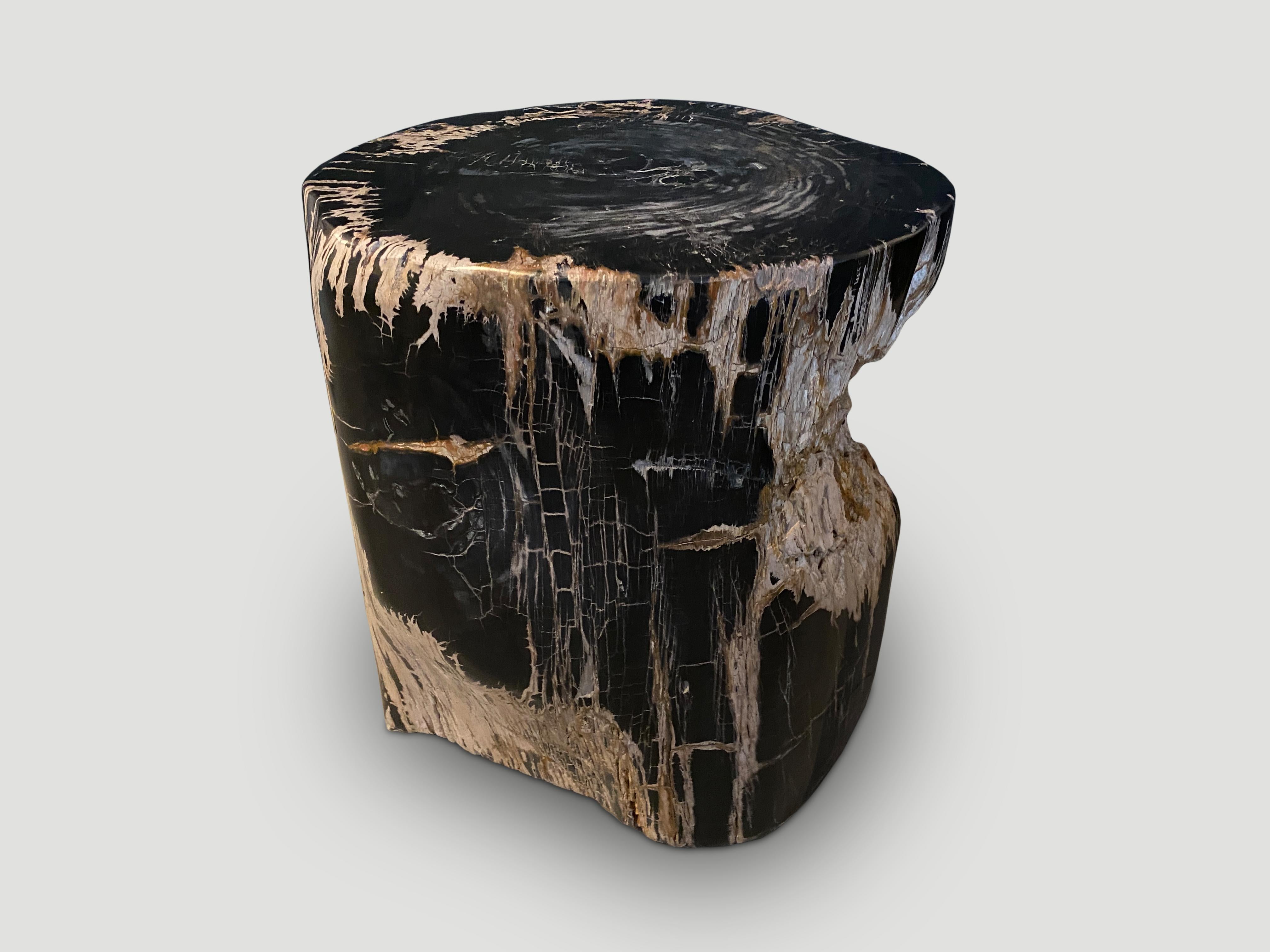 fossil wood table
