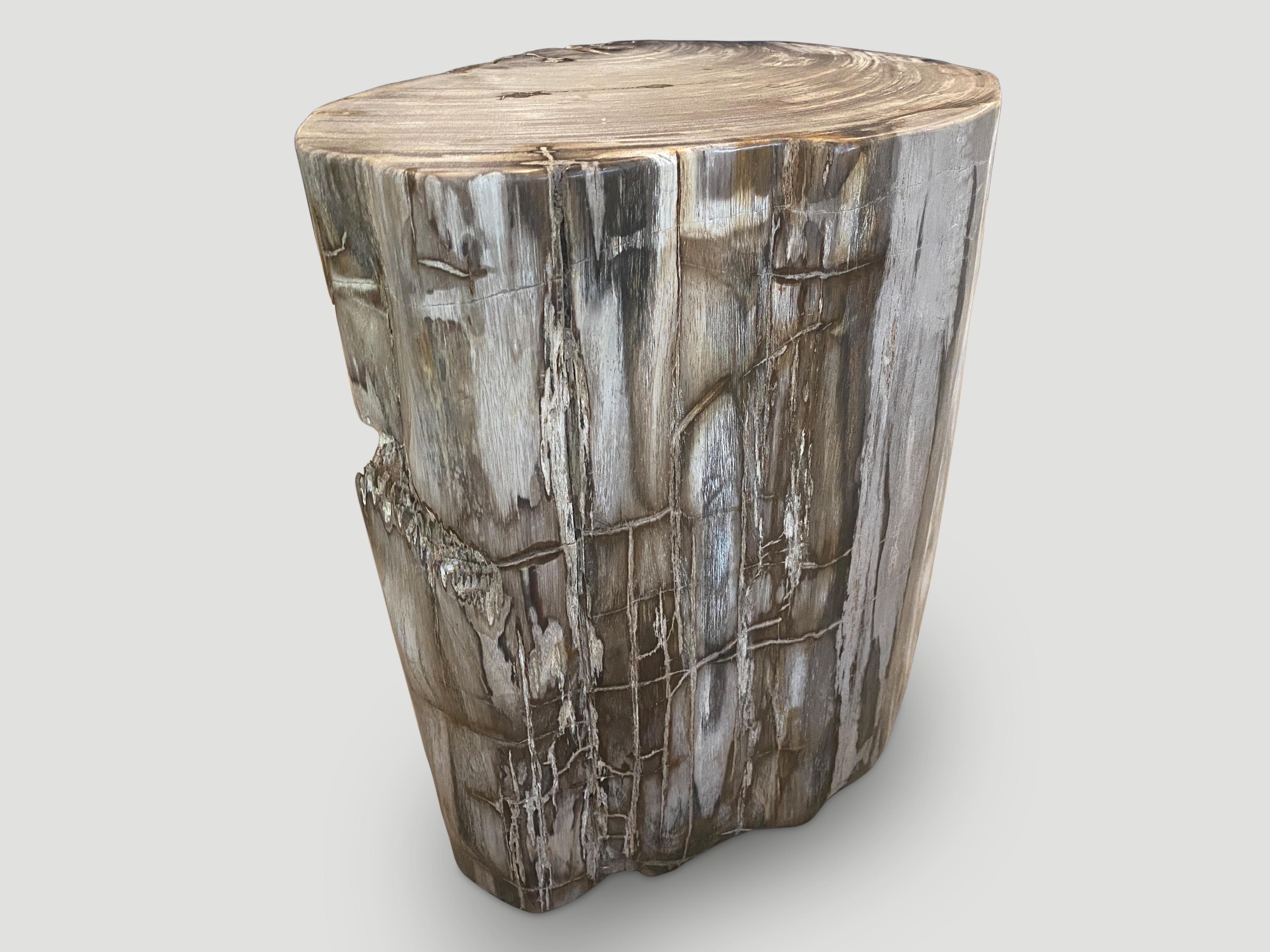Organic Modern Andrianna Shamaris Ancient Sculptural Petrified Wood Side Table For Sale