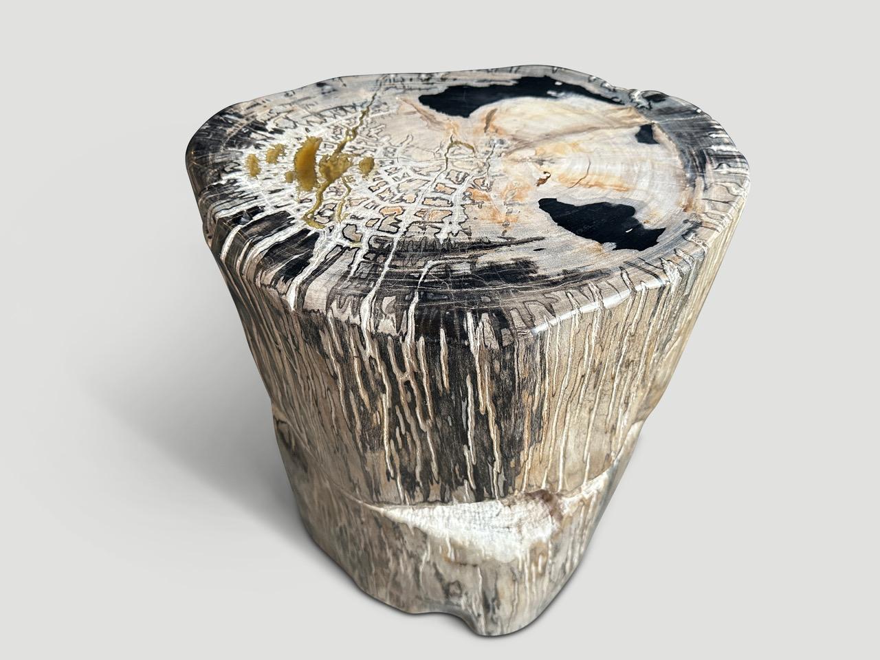 Organic Modern Andrianna Shamaris Ancient Sculptural Petrified Wood Side Table  For Sale