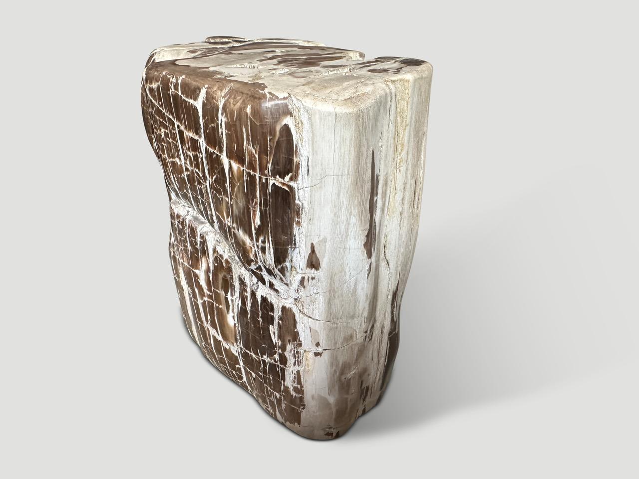 Andrianna Shamaris Antigua mesa auxiliar escultórica de madera petrificada Moderno orgánico en venta