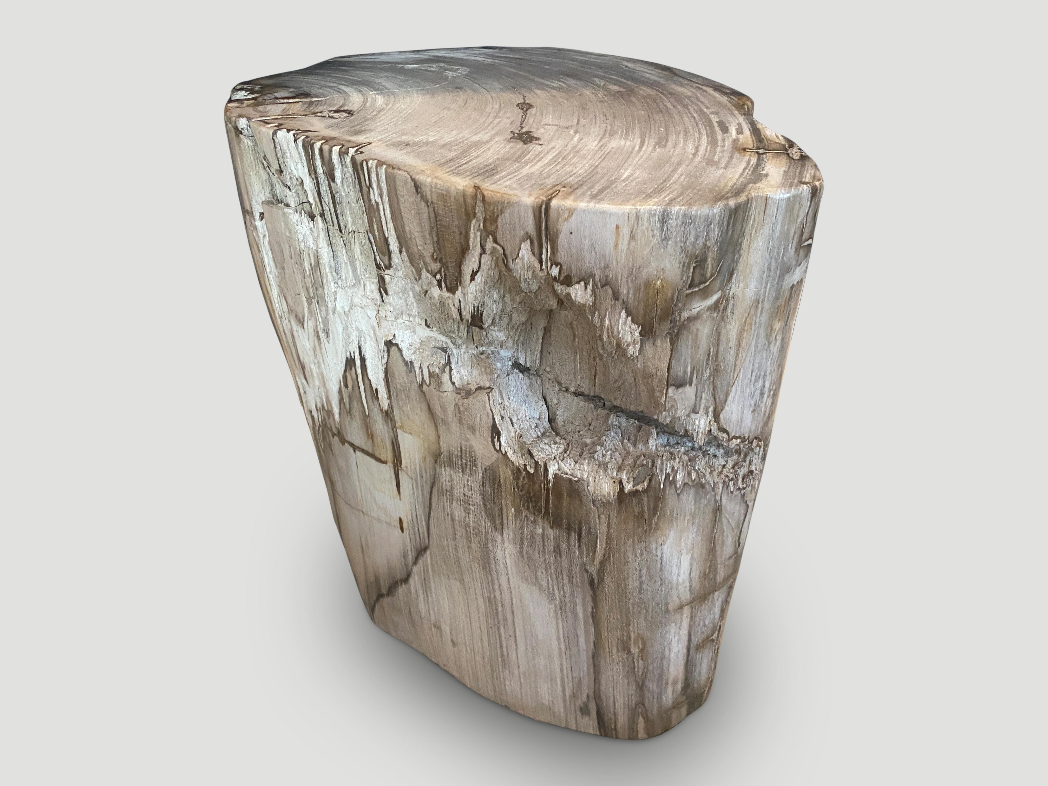 Andrianna Shamaris Ancient Sculptural Petrified Wood Side Table In Excellent Condition For Sale In New York, NY