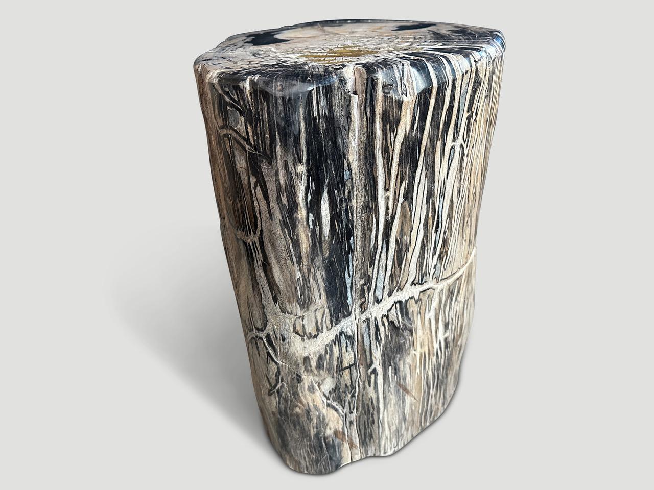 Indonesian Andrianna Shamaris Ancient Sculptural Petrified Wood Side Table  For Sale