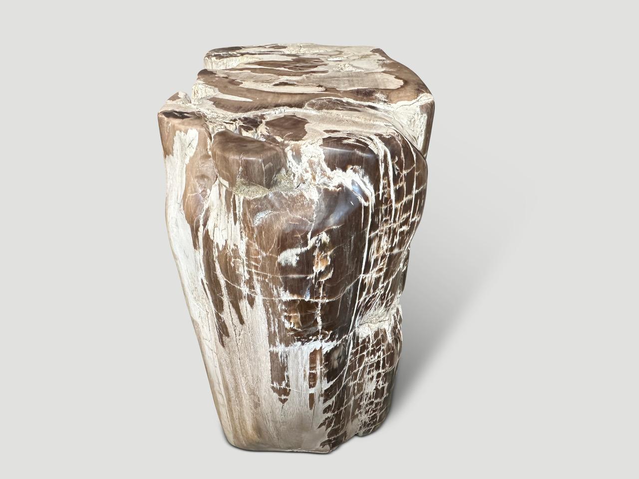 Andrianna Shamaris Antigua mesa auxiliar escultórica de madera petrificada en Excelente estado para la venta en New York, NY