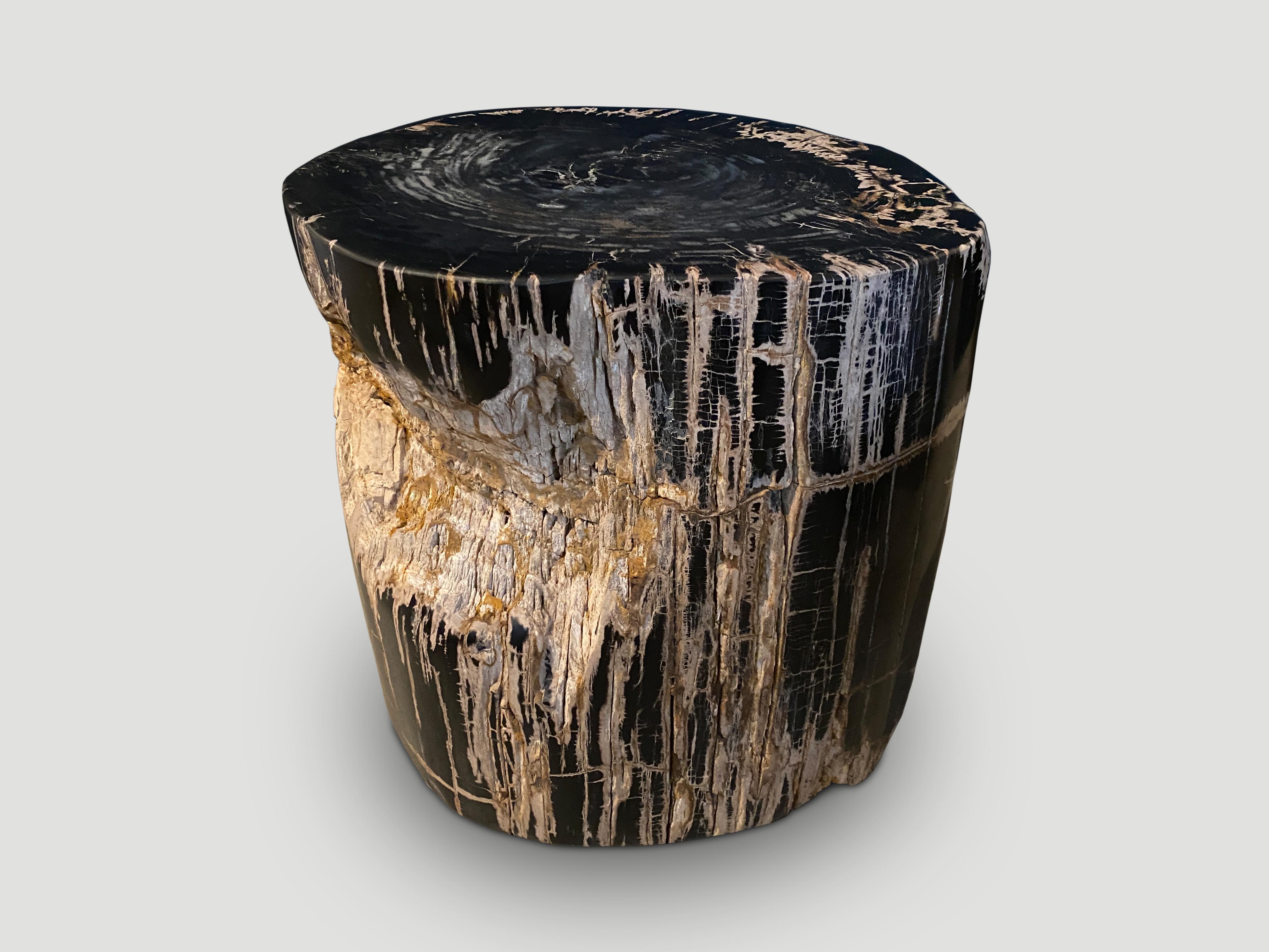 Andrianna Shamaris Ancient Sculptural Petrified Wood Side Table In Excellent Condition For Sale In New York, NY