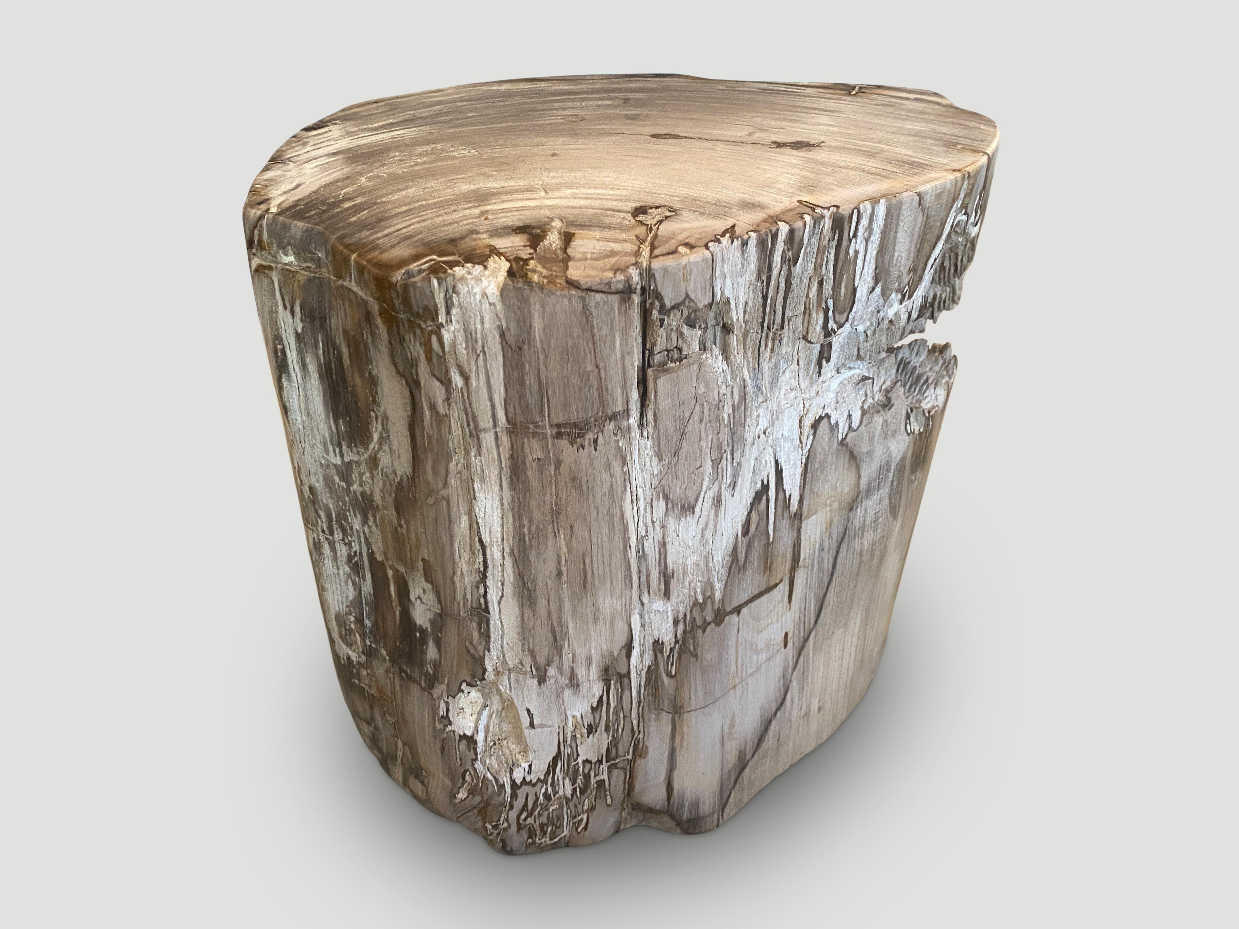Contemporary Andrianna Shamaris Ancient Sculptural Petrified Wood Side Table For Sale