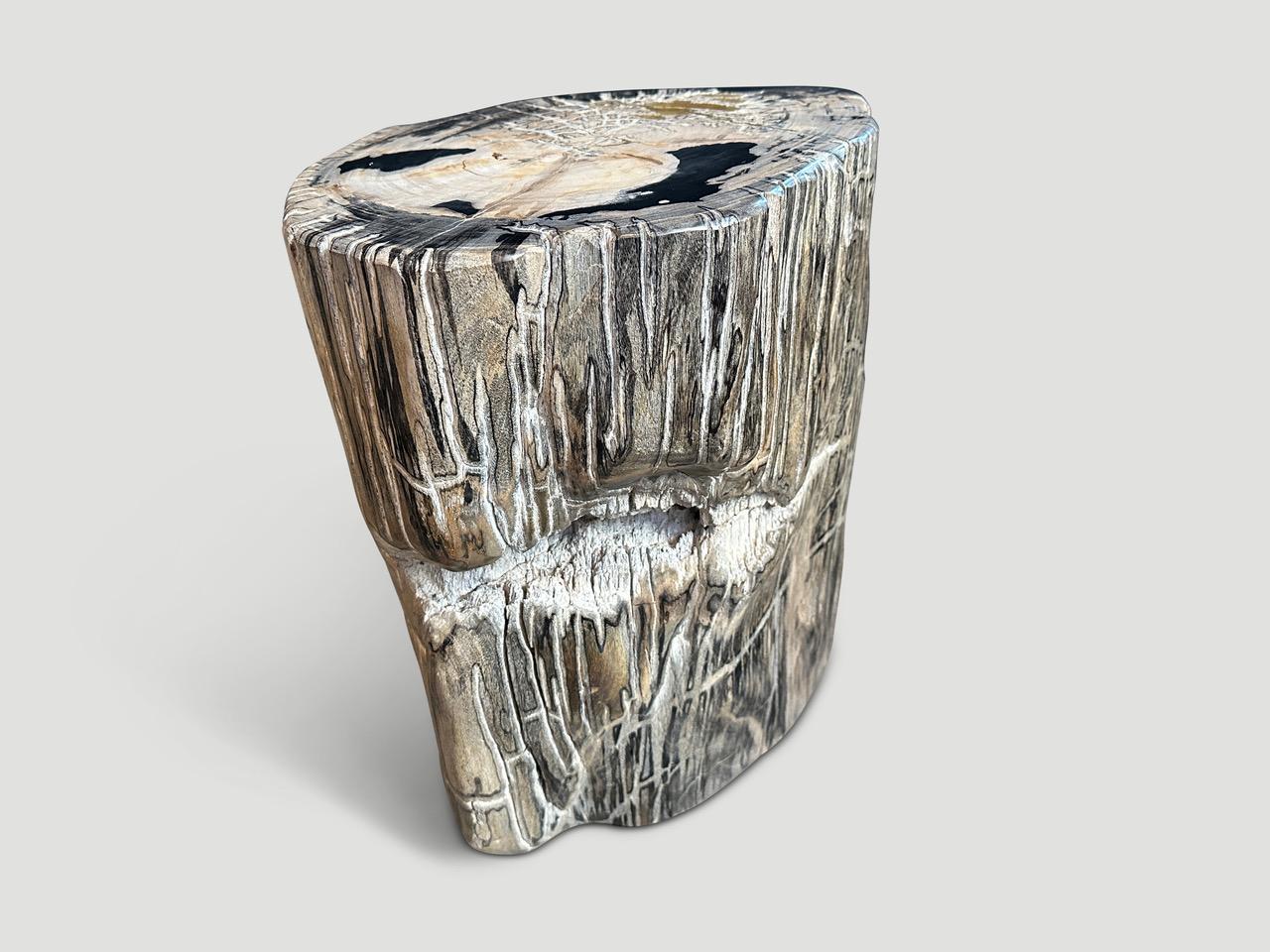 Andrianna Shamaris Ancient Sculptural Petrified Wood Side Table  In Excellent Condition For Sale In New York, NY
