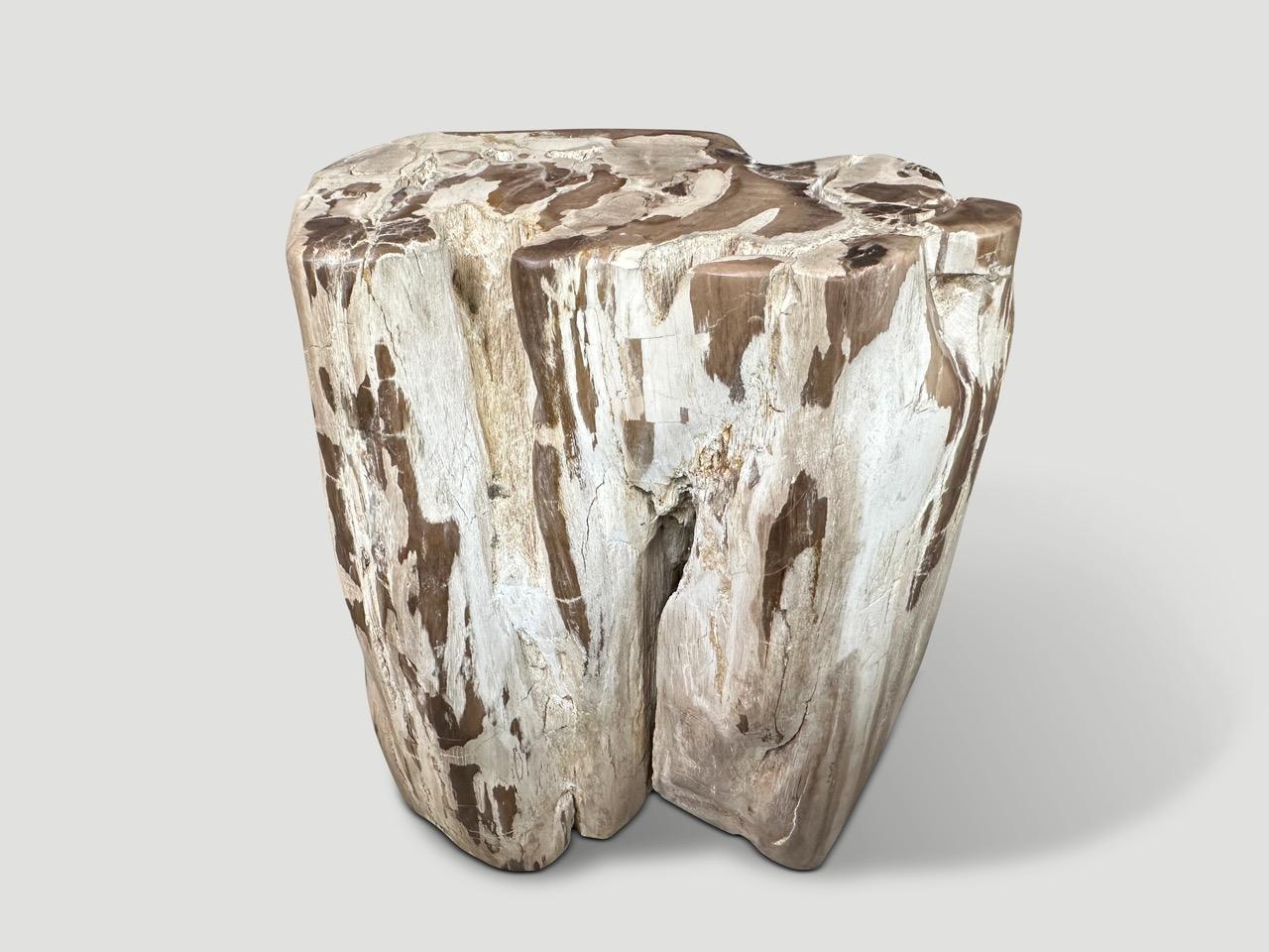 Andrianna Shamaris Antigua mesa auxiliar escultórica de madera petrificada Siglo XXI y contemporáneo en venta